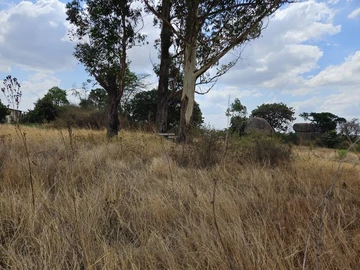 Farm & Agricultural Land