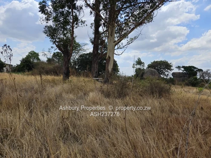 A nice plot a stone throw away from Ruwa Rehab center on the road linking Harare Airport just Timire