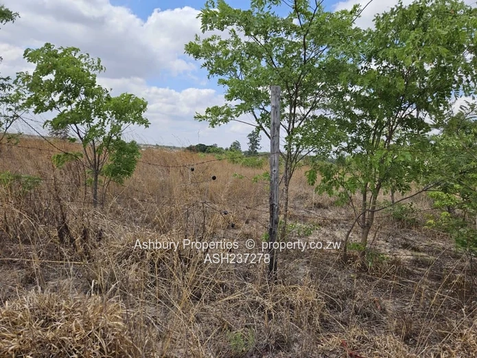 A nice plot a stone throw away from Ruwa Rehab center on the road linking Harare Airport just Timire