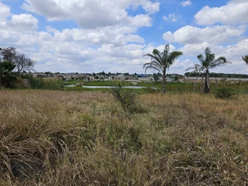 Farm & Agricultural Land