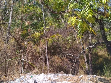 Land