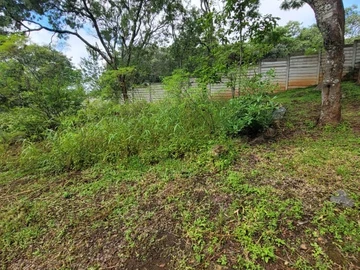 Stand in Prestigious Part of Greystone Park..