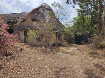 Farm & Agricultural Land
