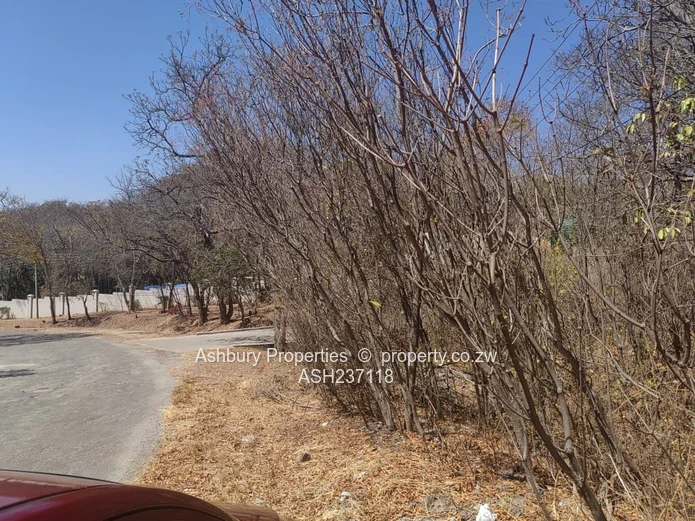 5,000 m² Glen Lorne — Sloping, Tree-lined Building Plot