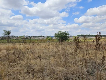 Farm & Agricultural Land
