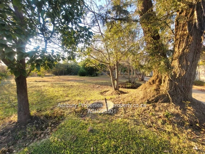 Old Marlborough near Stanchart Sports Club 