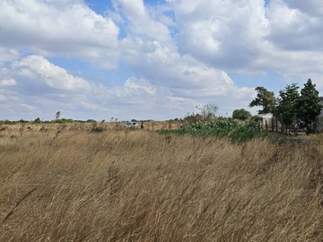 Farm & Agricultural Land