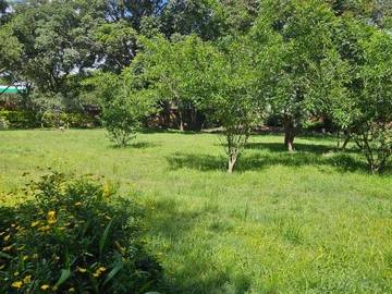Commercial Property
